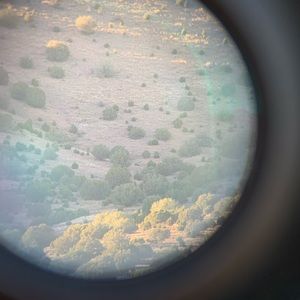 Meet your Posher, Hailey